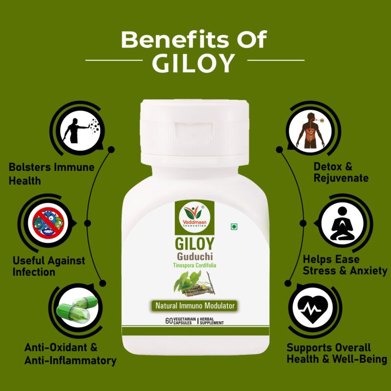 Benefits Of Vaddmaan Giloy