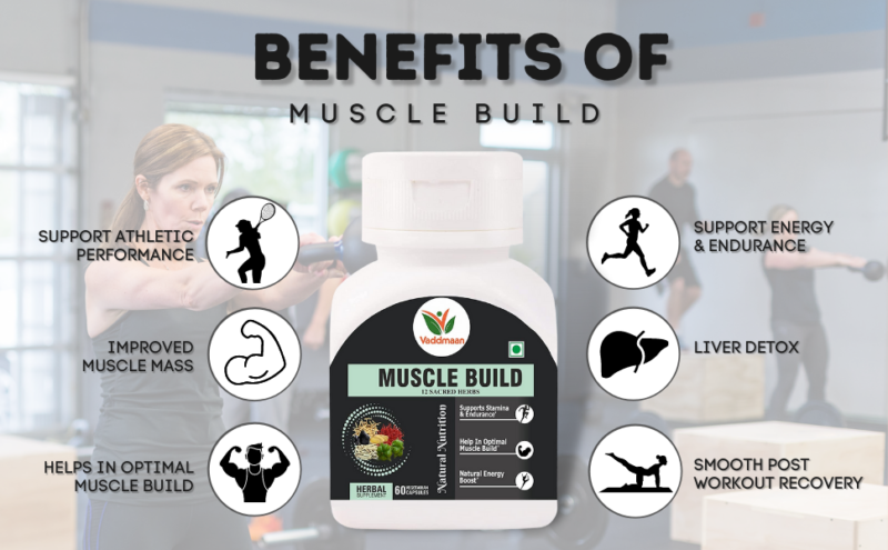 Benefits Of Vaddmaan muscle Build