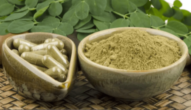 Moringa The Best Natural Superfood For Your Daily Energy