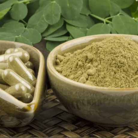 Moringa The Best Natural Superfood For Your Daily Energy